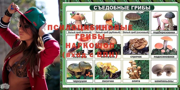 ECSTASY Михайлов