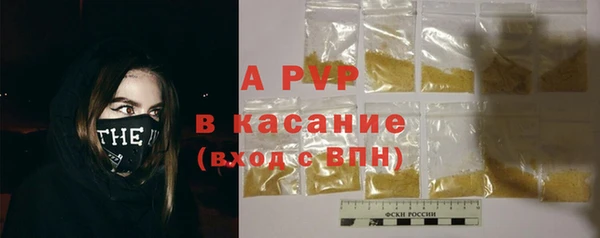 ECSTASY Михайлов