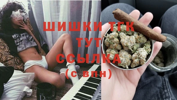 ECSTASY Михайлов