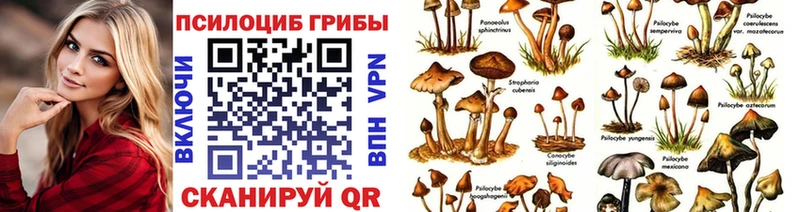 Купить Каменск-Шахтинский Псилоцибиновые грибы MAGIC MUSHROOMS